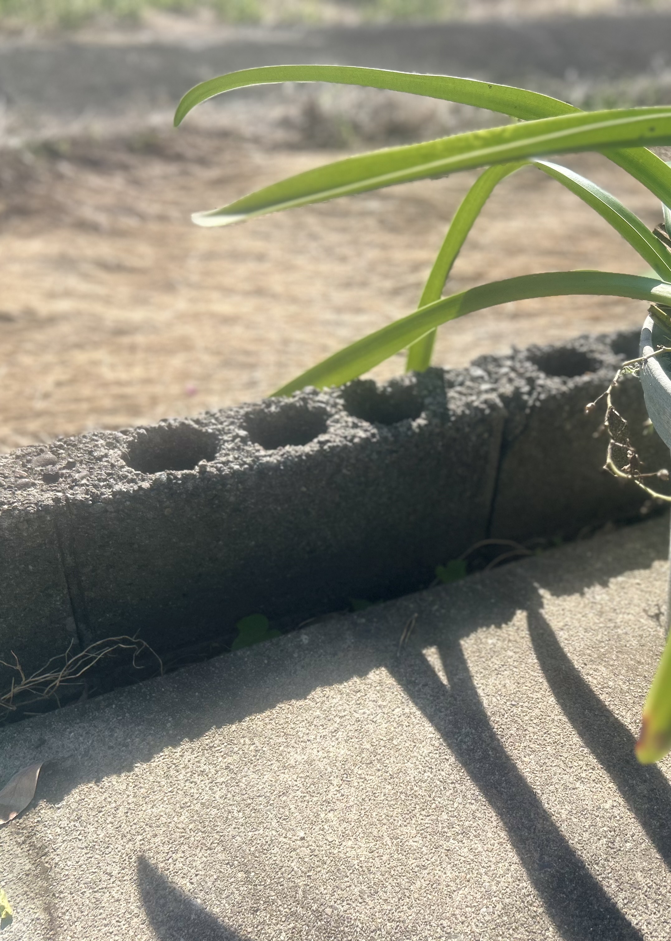 水道工事前 - 給水管の交換や修理が必要な状態